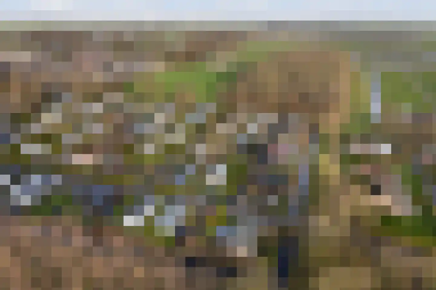 Vogels' tún 157 Tzummarum thumbnail 27