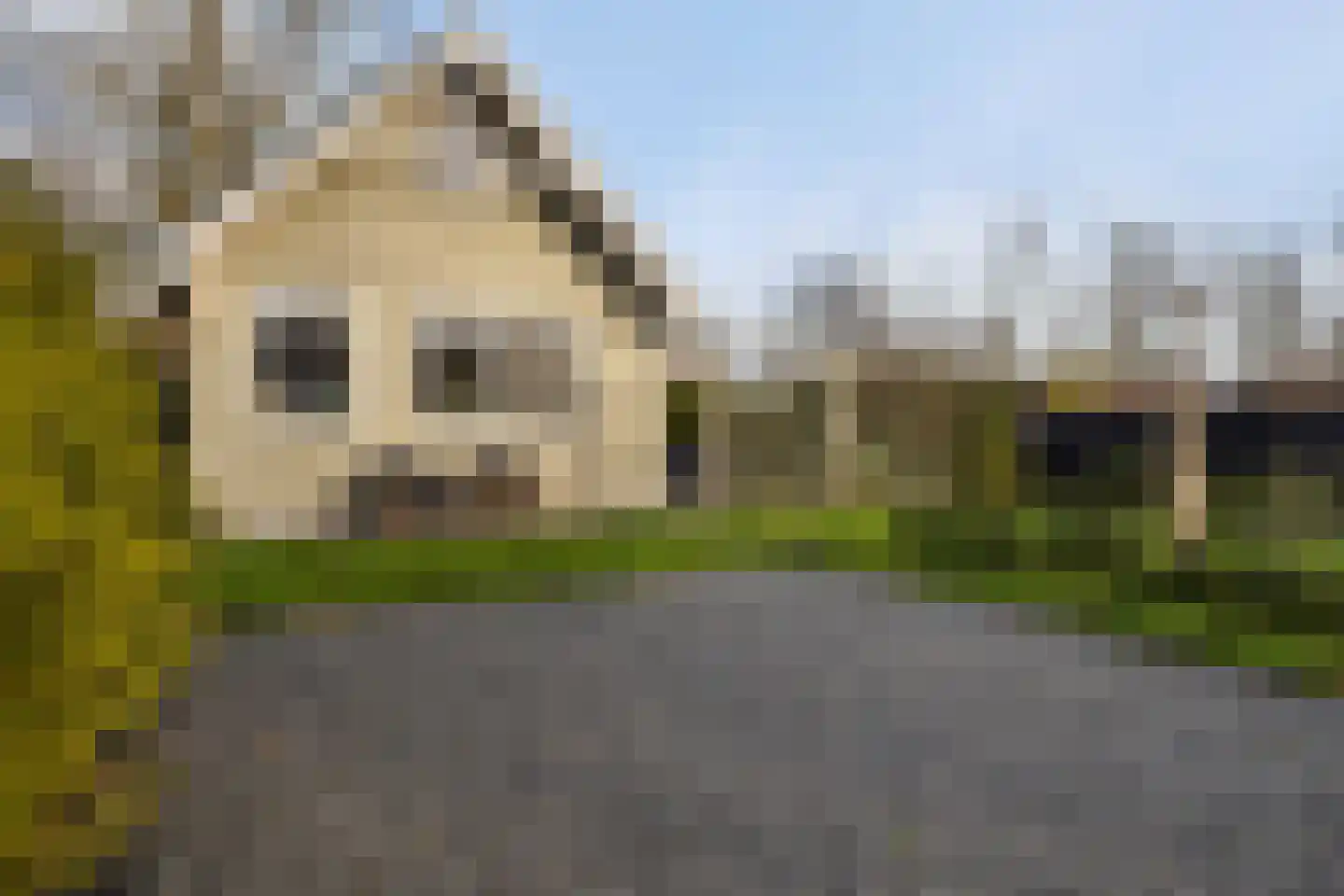 Vogels' tún 157 Tzummarum thumbnail 4