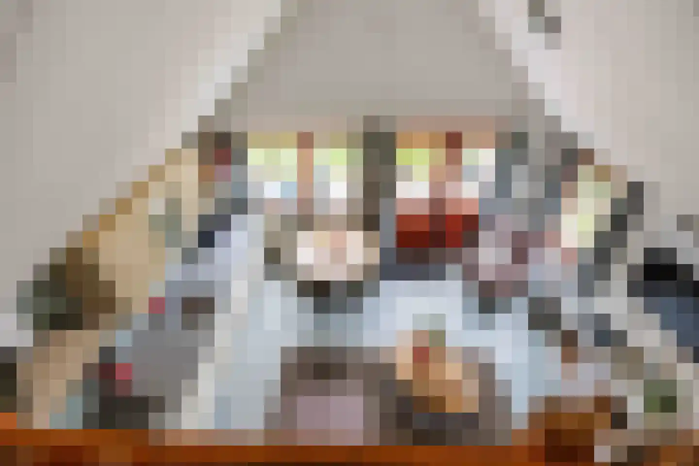 Vogels' tún 18 Tzummarum thumbnail 22
