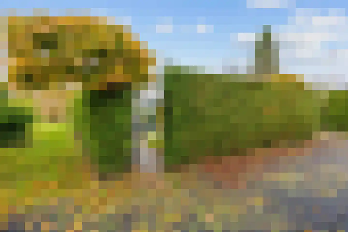 Vogels' tún 18 Tzummarum thumbnail 26
