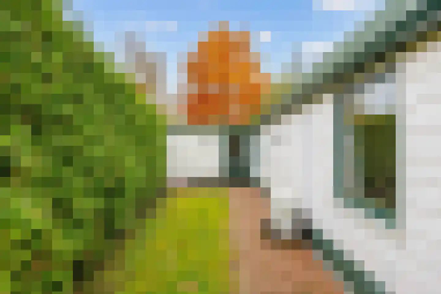 Vogels' tún 18 Tzummarum thumbnail 31