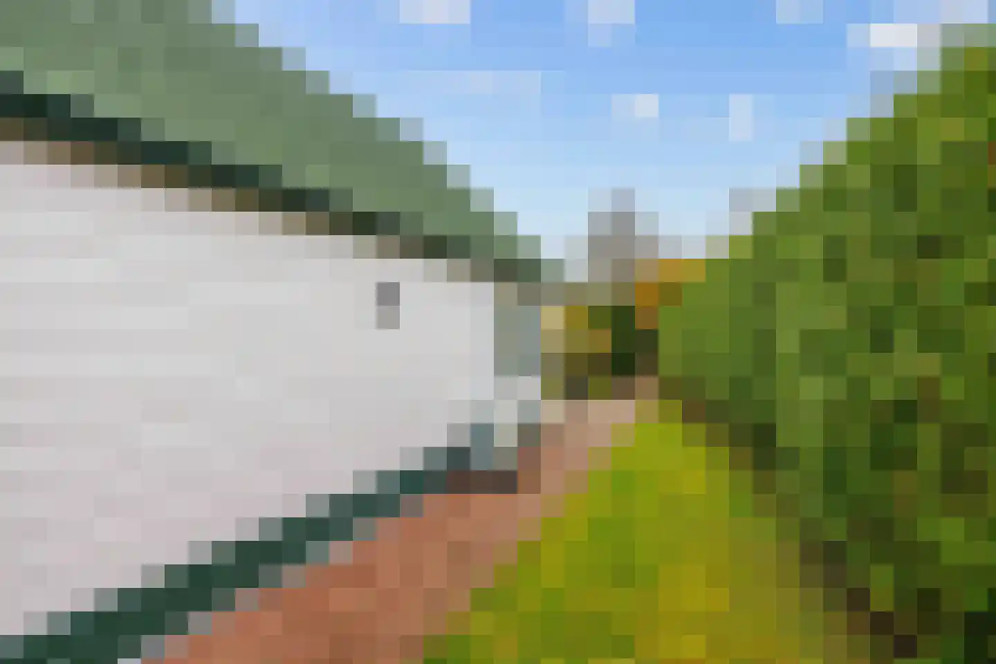 Vogels' tún 18 Tzummarum thumbnail 32