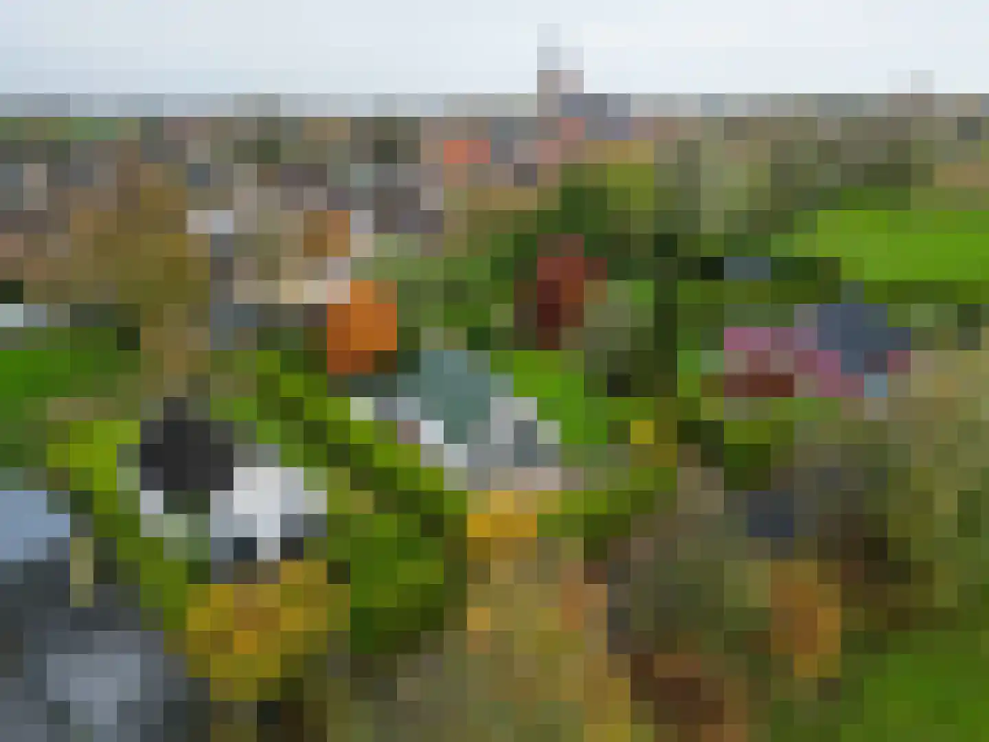 Vogels' tún 18 Tzummarum thumbnail 39