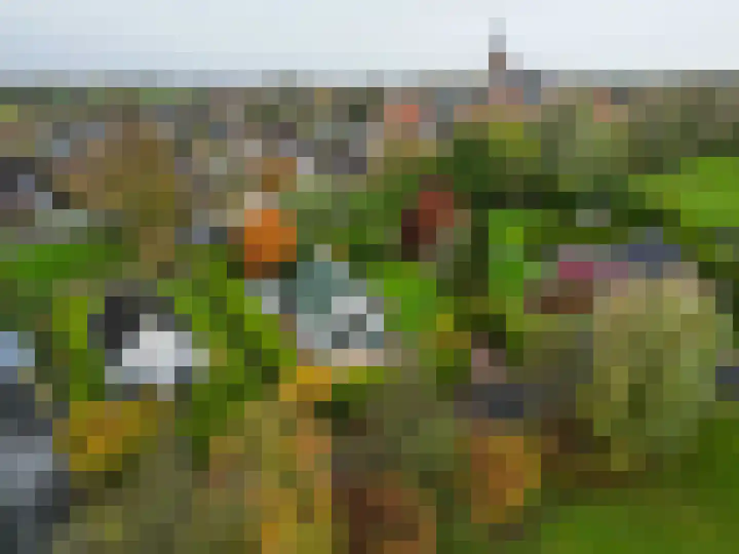 Vogels' tún 18 Tzummarum thumbnail 4
