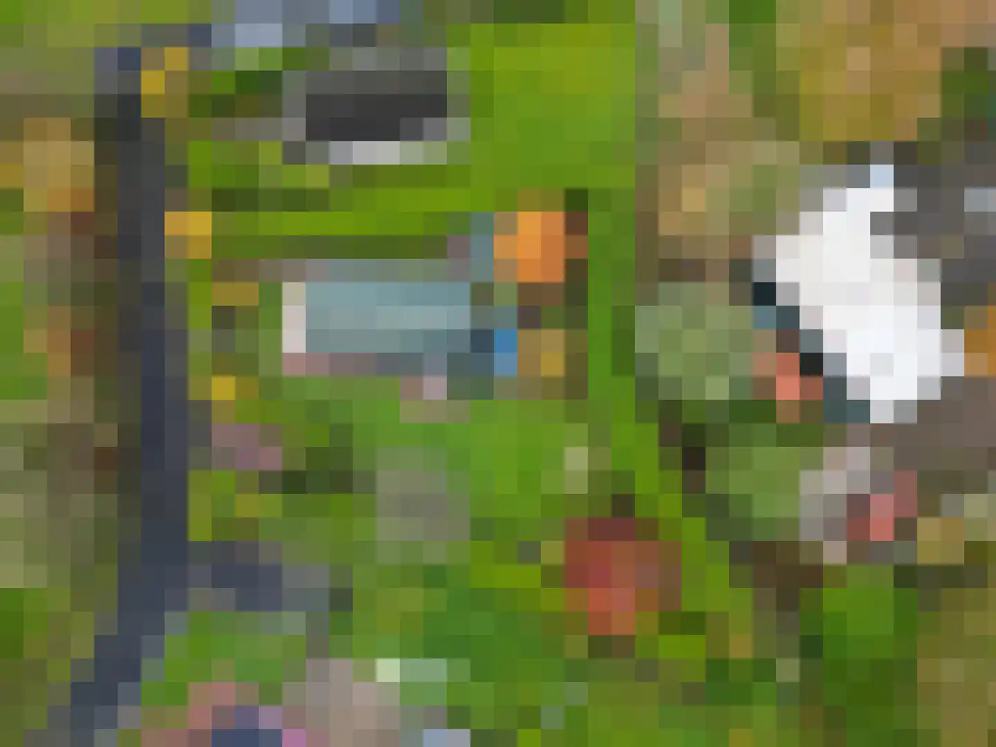 Vogels' tún 18 Tzummarum thumbnail 41