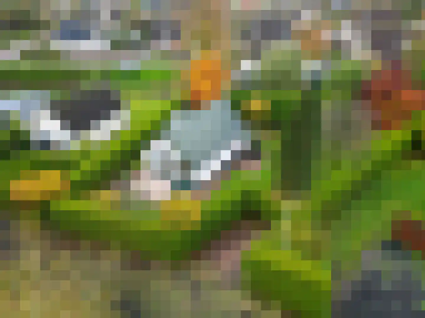 Vogels' tún 18 Tzummarum thumbnail 5