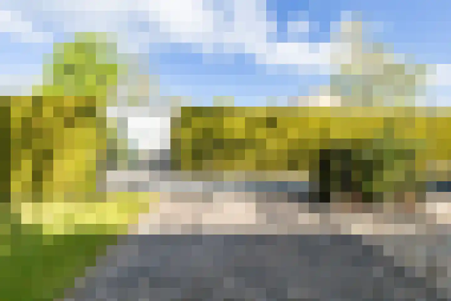 Vogels' tún 31 Tzummarum thumbnail 10