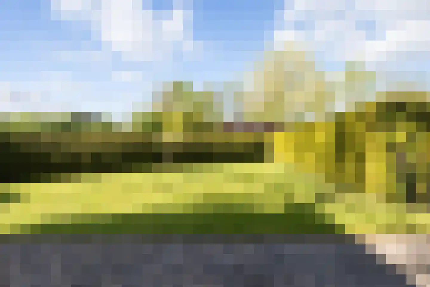 Vogels' tún 31 Tzummarum thumbnail 11