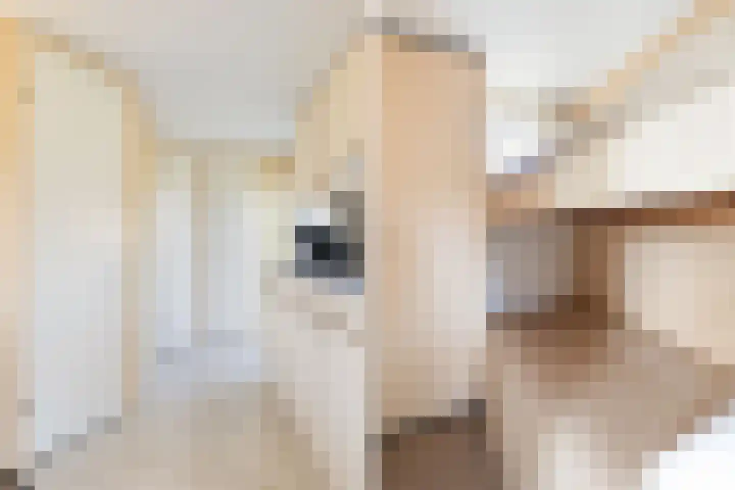 Vogels' tún 31 Tzummarum thumbnail 20