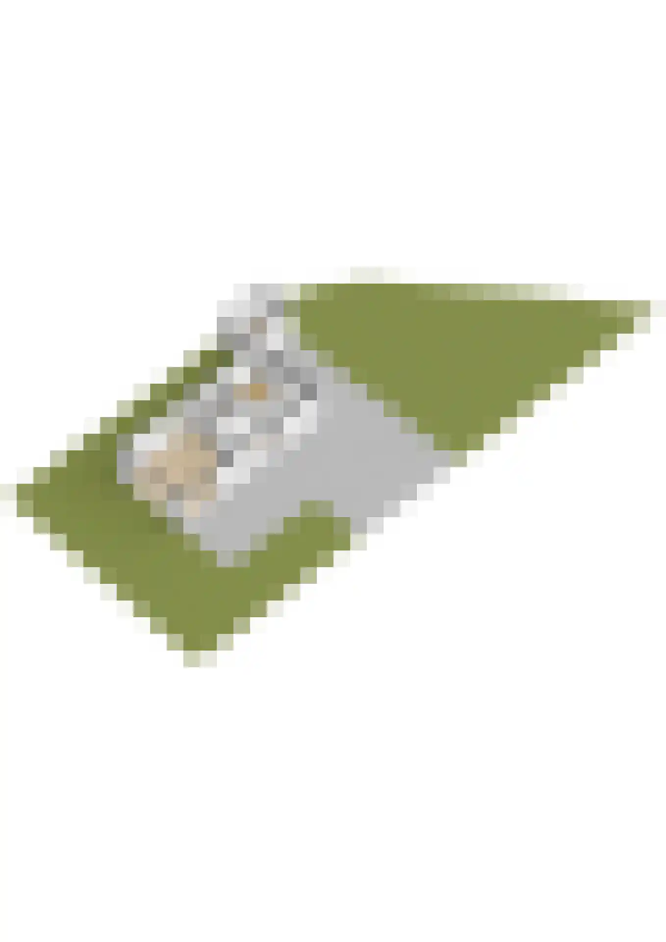 Vogels' tún 31 Tzummarum thumbnail 27