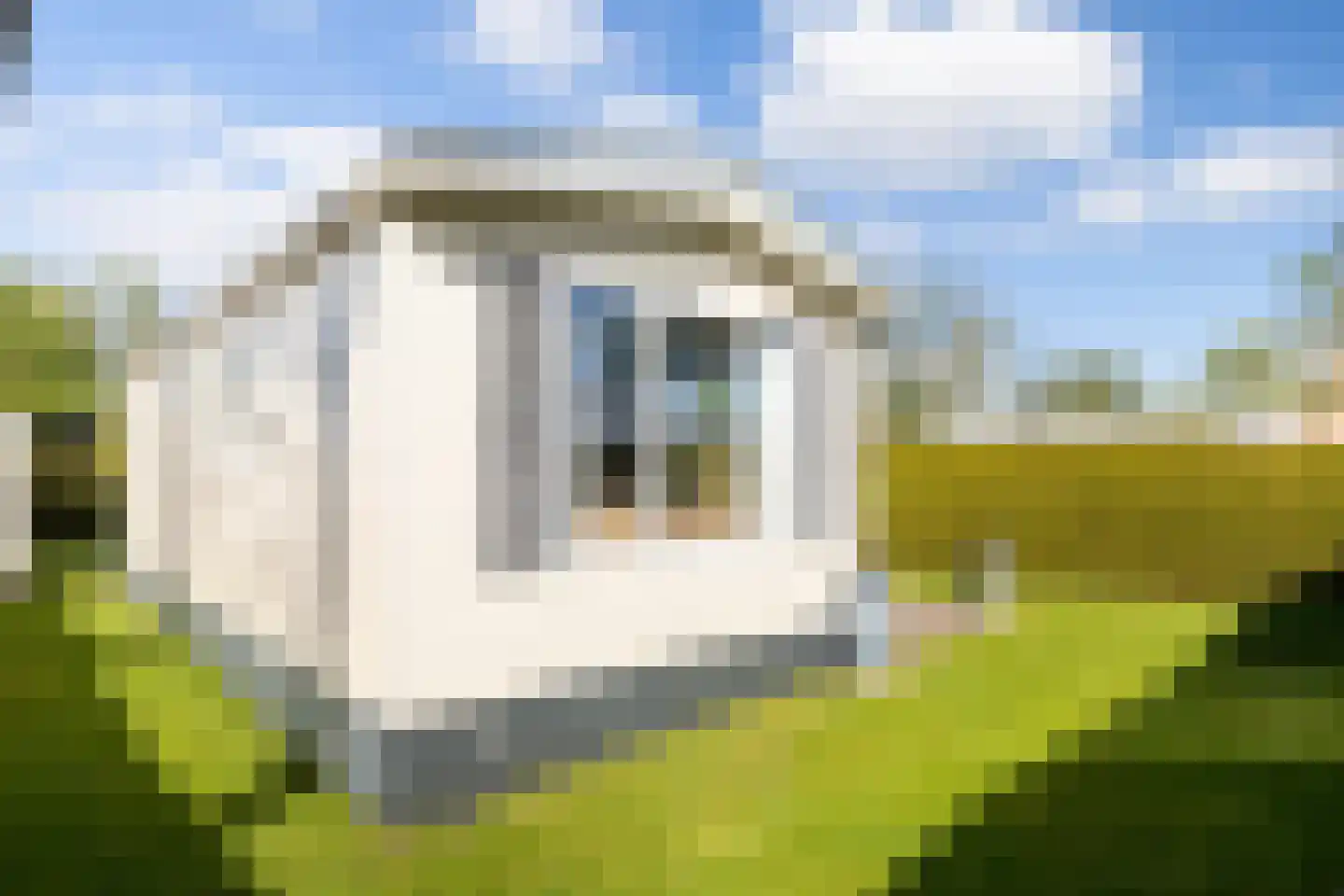 Vogels' tún 31 Tzummarum thumbnail 7