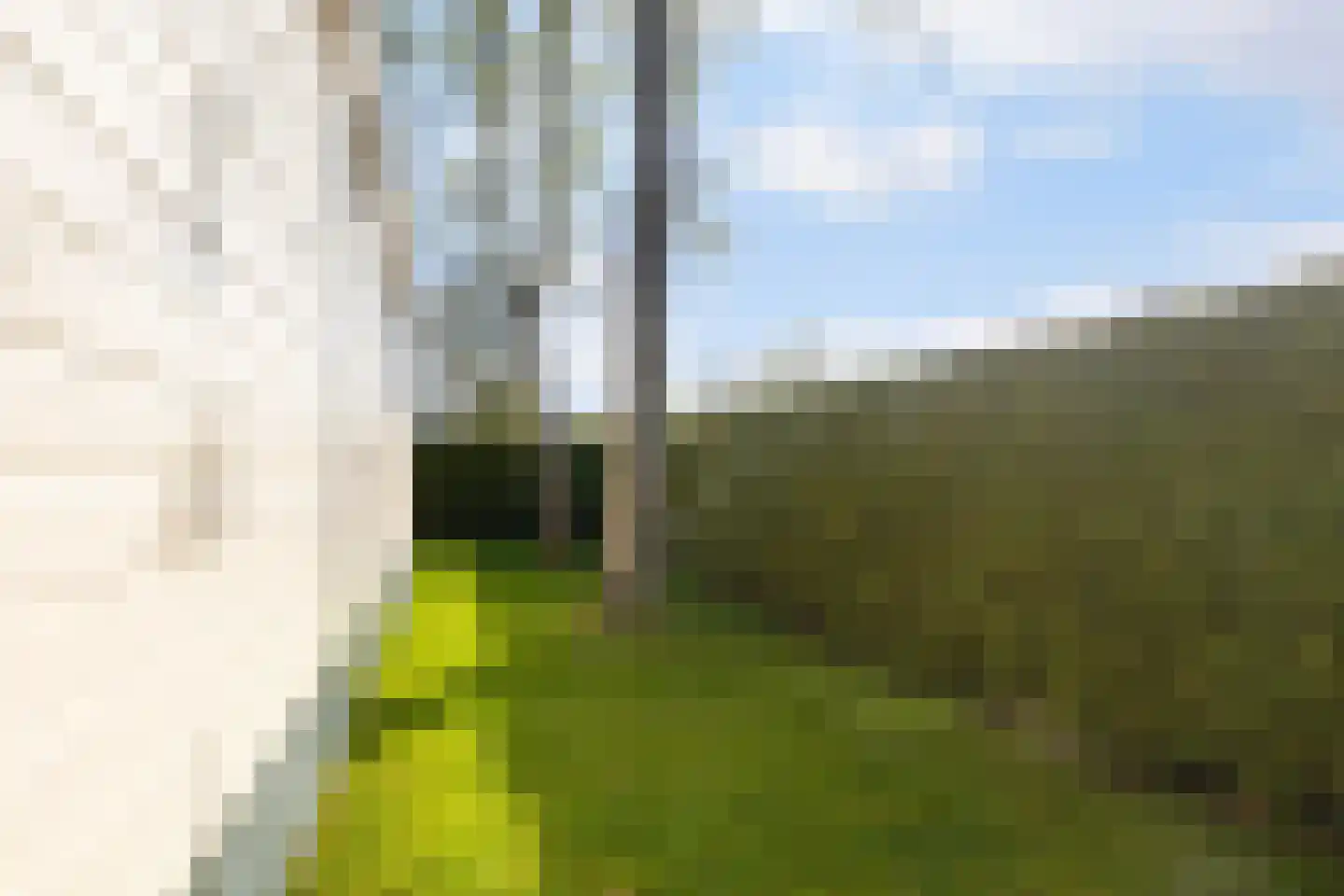 Vogels' tún 31 Tzummarum thumbnail 9