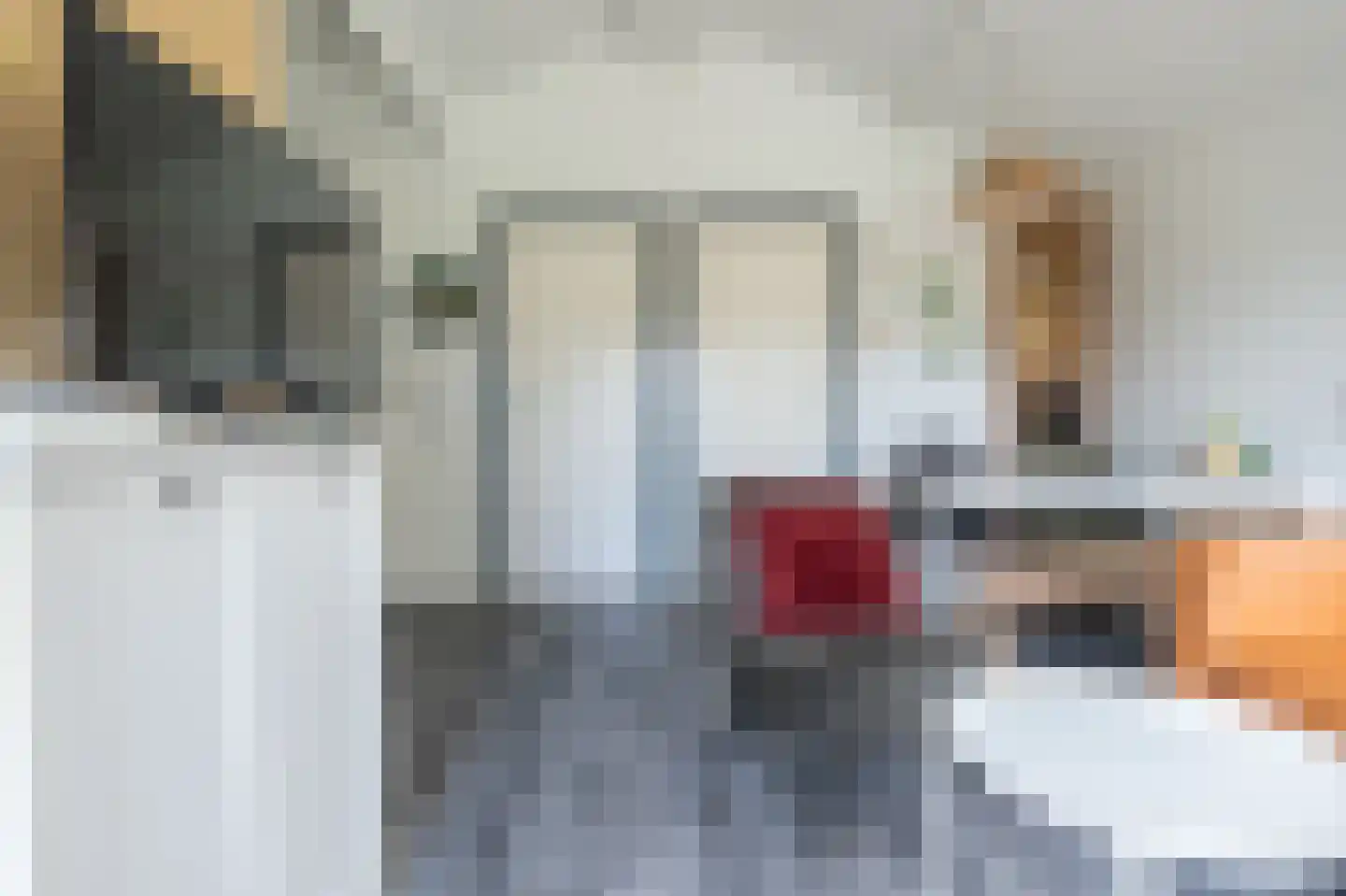 Vogels' tún 4 Tzummarum thumbnail 13