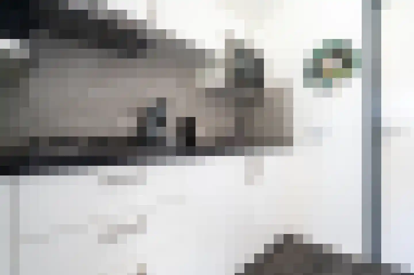 Vogels' tún 4 Tzummarum thumbnail 16