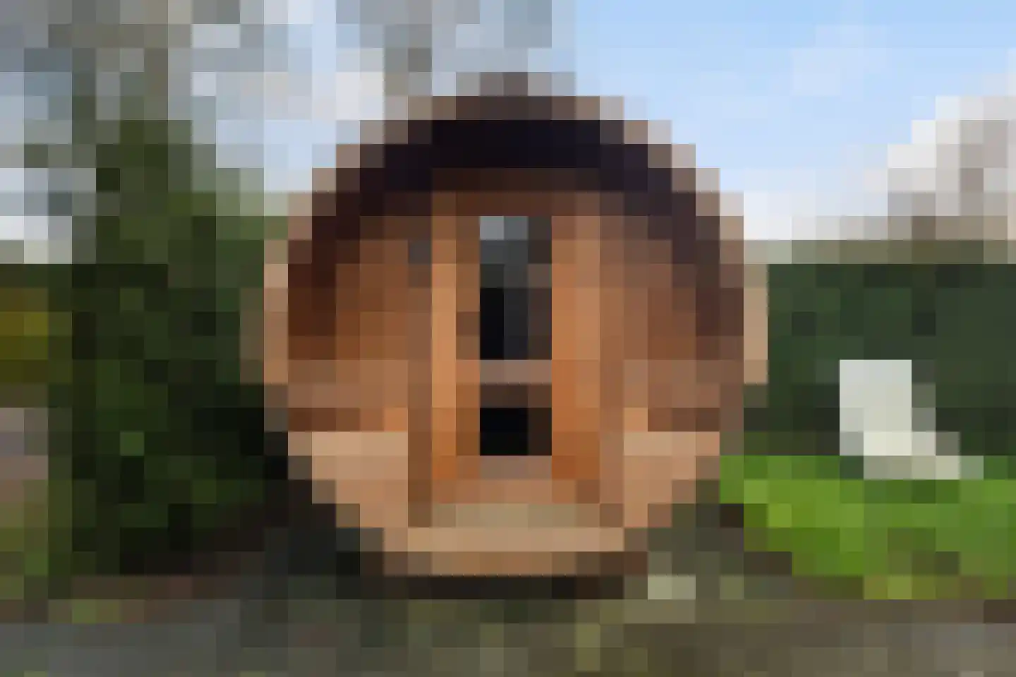 Vogels' tún 48 Tzummarum thumbnail 27