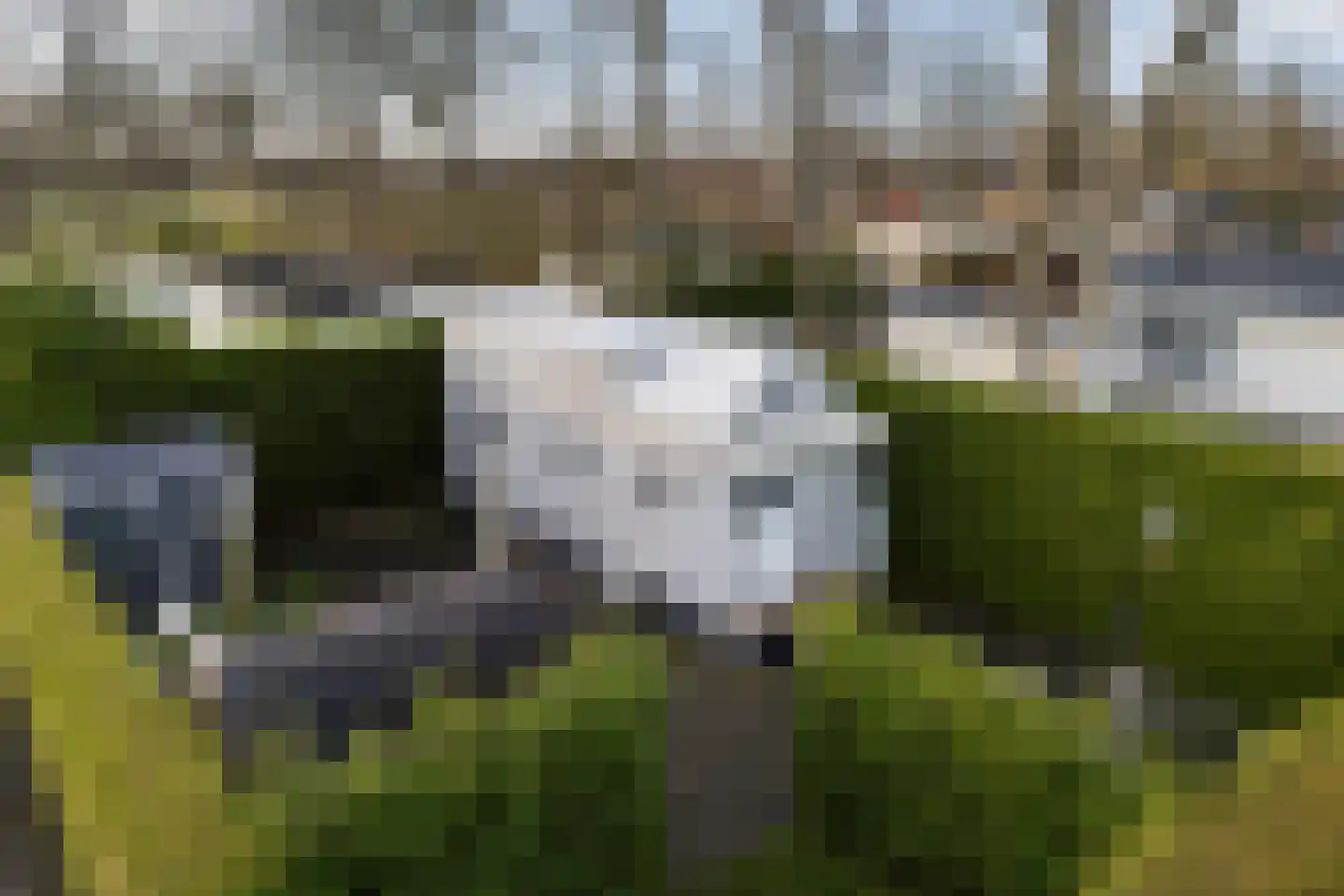 Vogels' tún 48 Tzummarum thumbnail 30