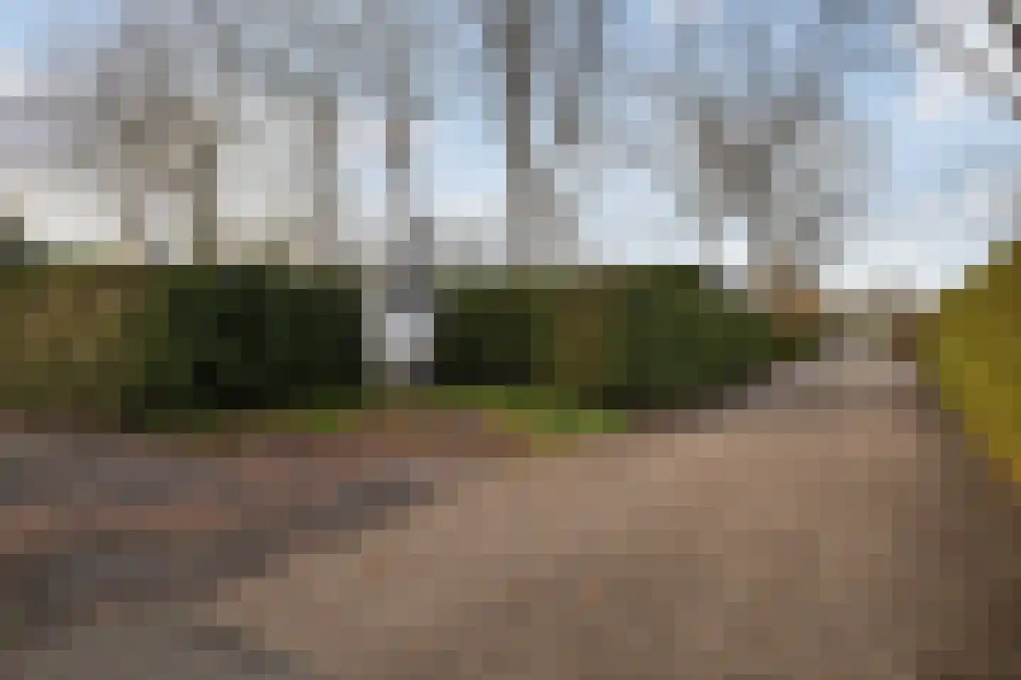 Vogels' tún 48 Tzummarum thumbnail 31