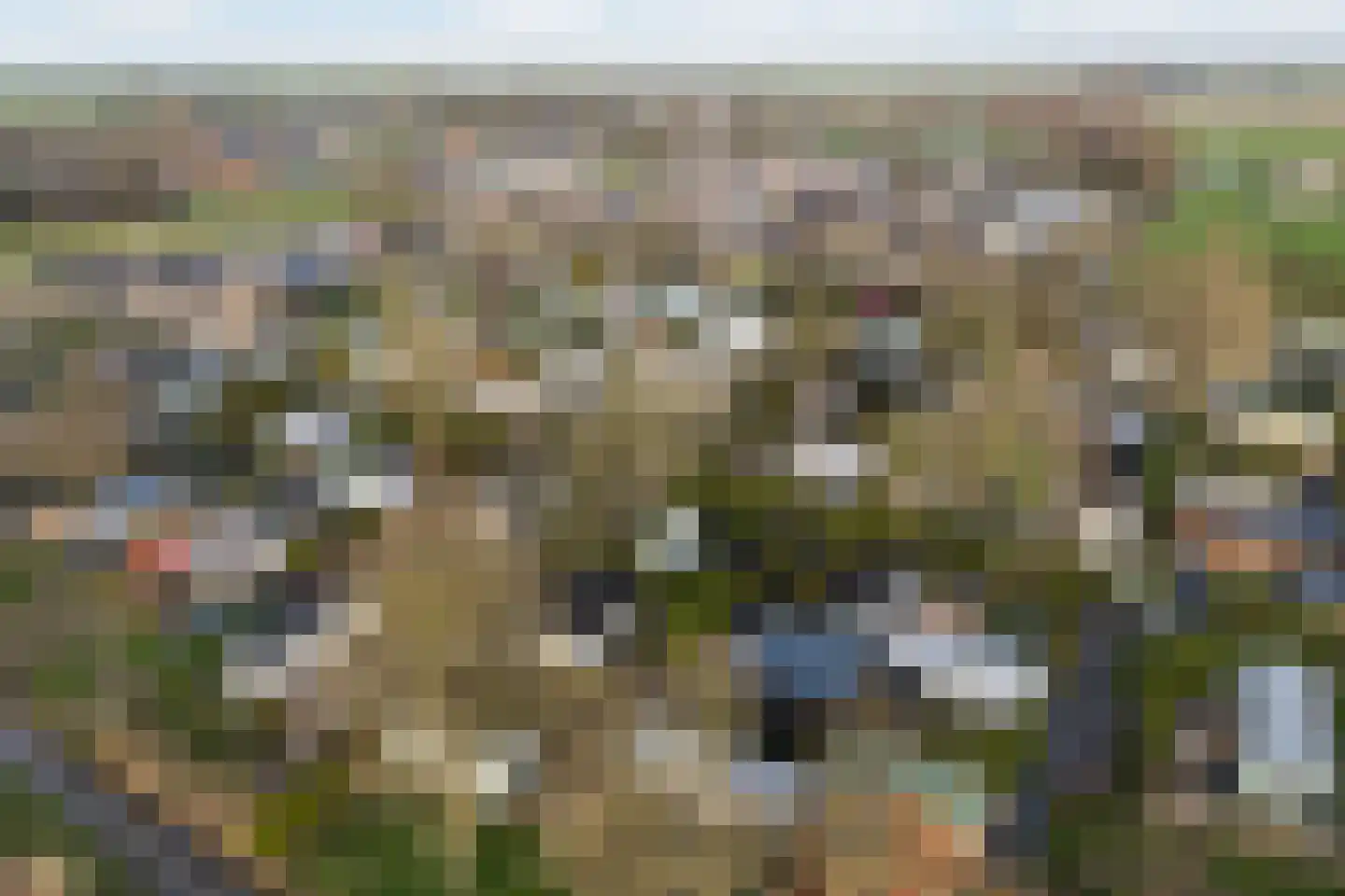 Vogels' tún 48 Tzummarum thumbnail 32