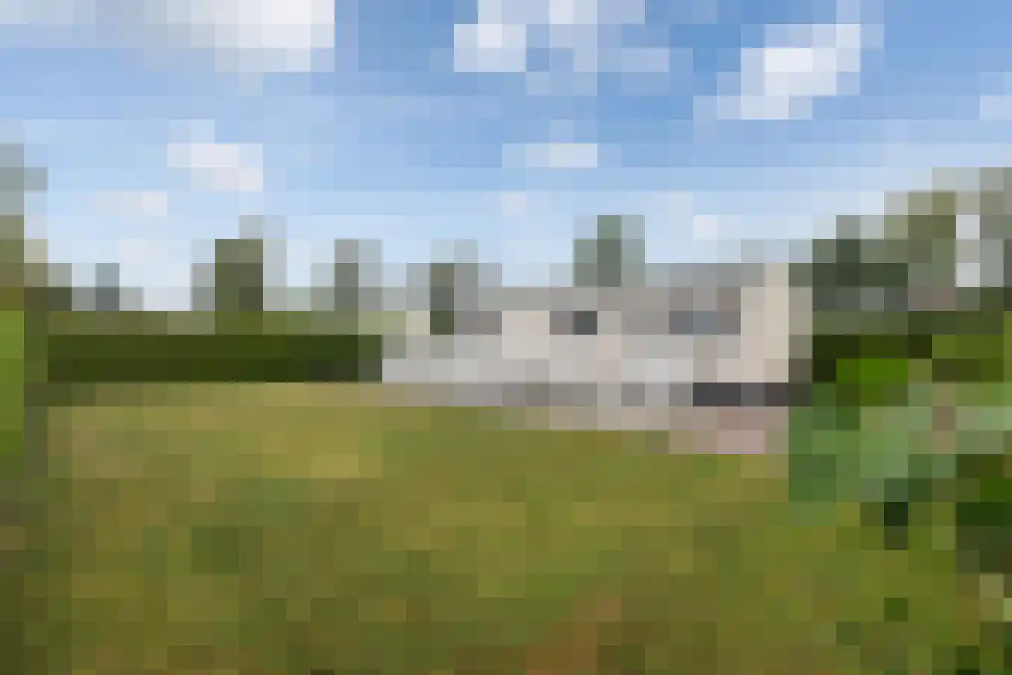 Vogels' tún 51 Tzummarum thumbnail 23