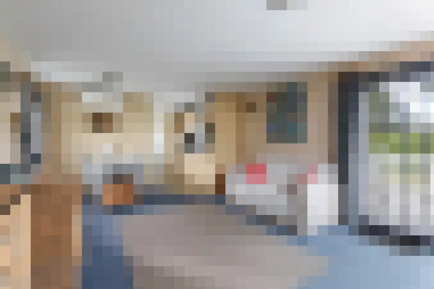 Vogels' tún 51 Tzummarum thumbnail 7