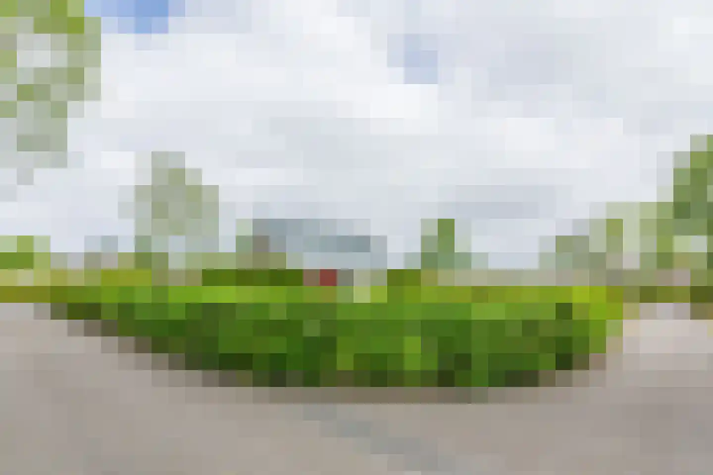 Vogels' tún 53 Tzummarum thumbnail 19