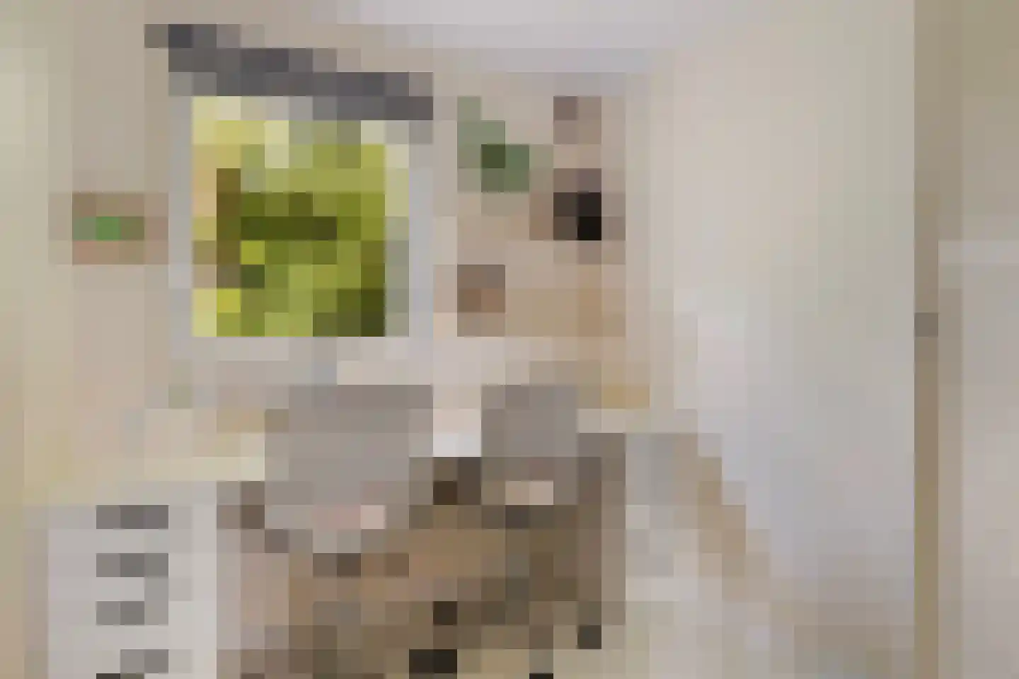 Vogels' tún 69 Tzummarum thumbnail 13