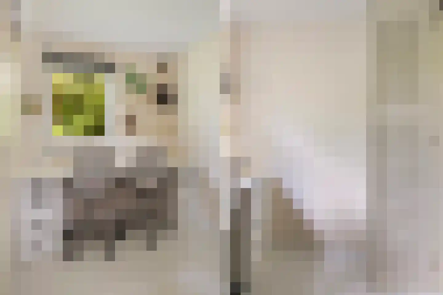 Vogels' tún 69 Tzummarum thumbnail 14