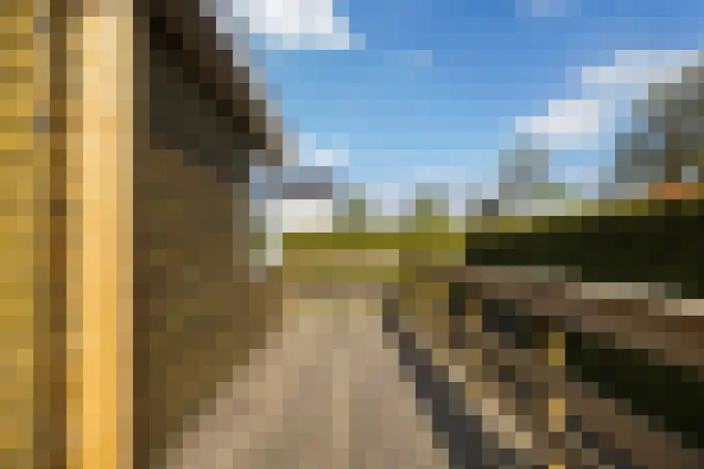Vogels' tún 69 Tzummarum thumbnail 17