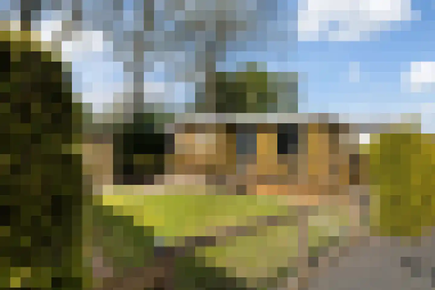 Vogels' tún 69 Tzummarum thumbnail 18