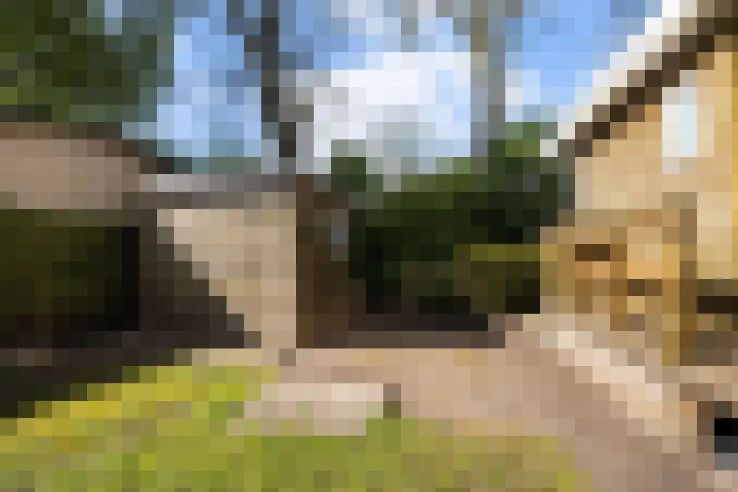 Vogels' tún 69 Tzummarum thumbnail 21