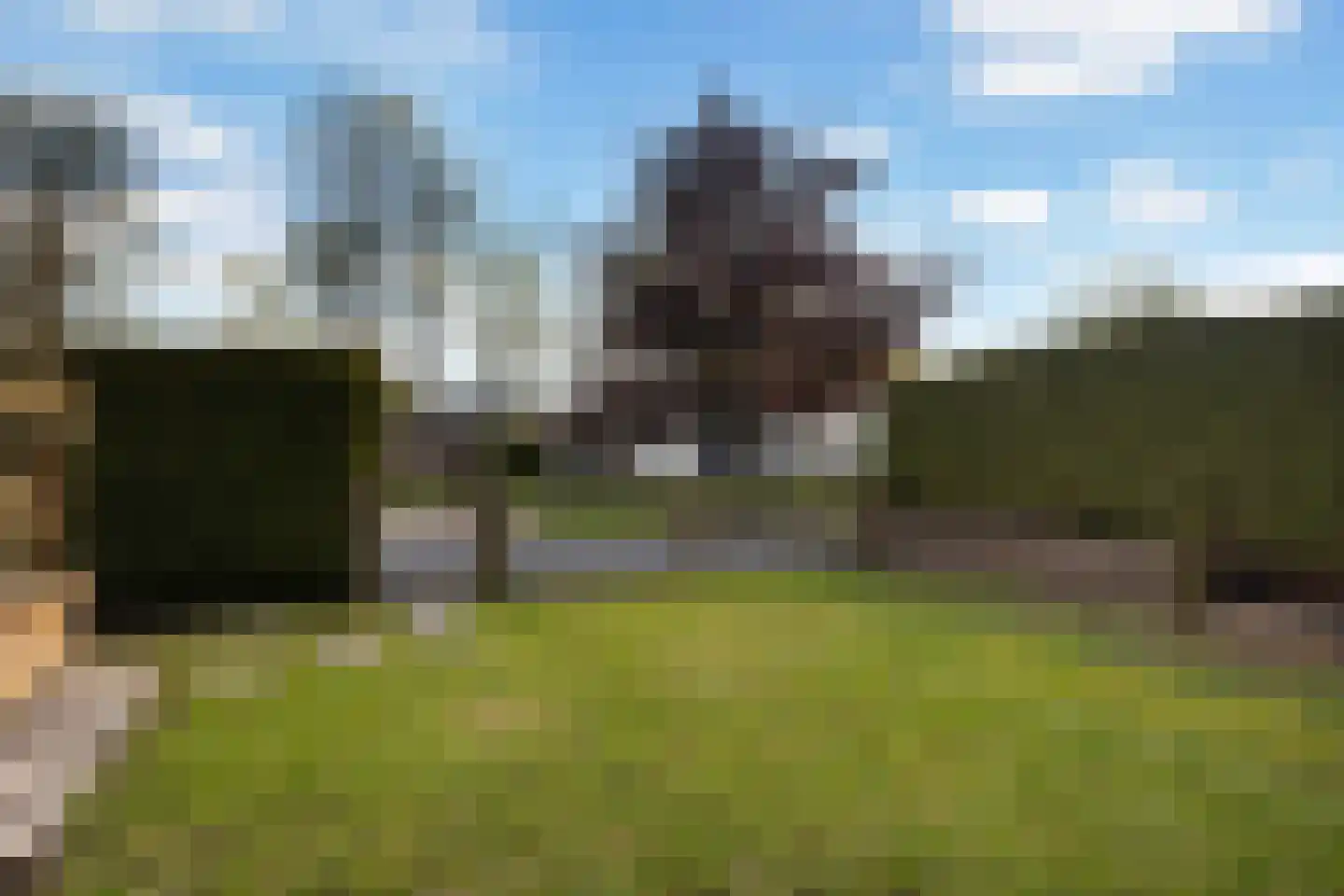 Vogels' tún 69 Tzummarum thumbnail 22