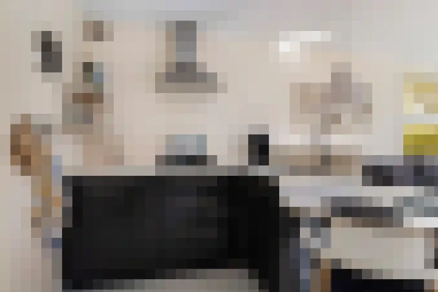 Vogels' tún 69 Tzummarum thumbnail 5