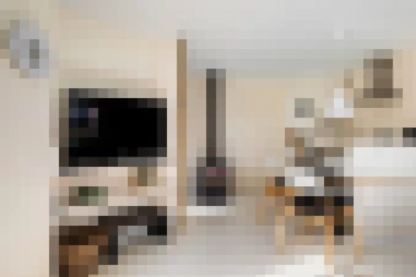 Vogels' tún 69 Tzummarum thumbnail 7