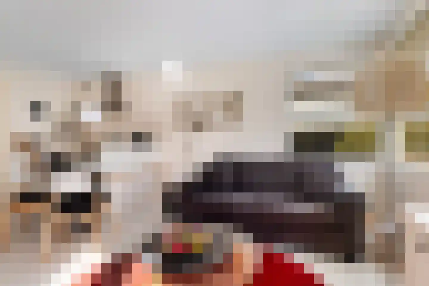 Vogels' tún 69 Tzummarum thumbnail 8