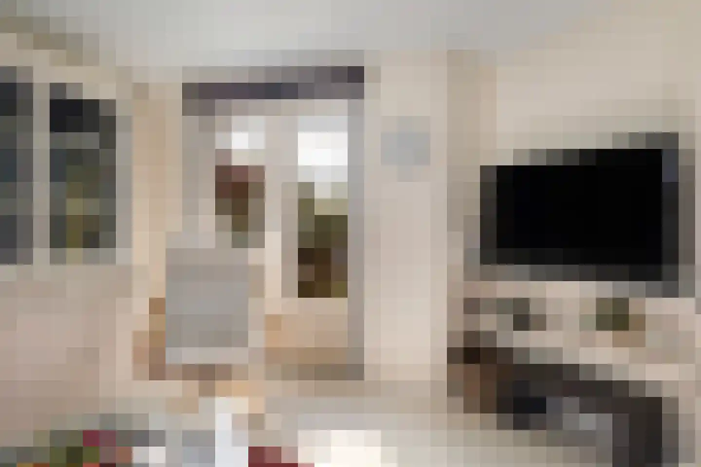 Vogels' tún 69 Tzummarum thumbnail 9