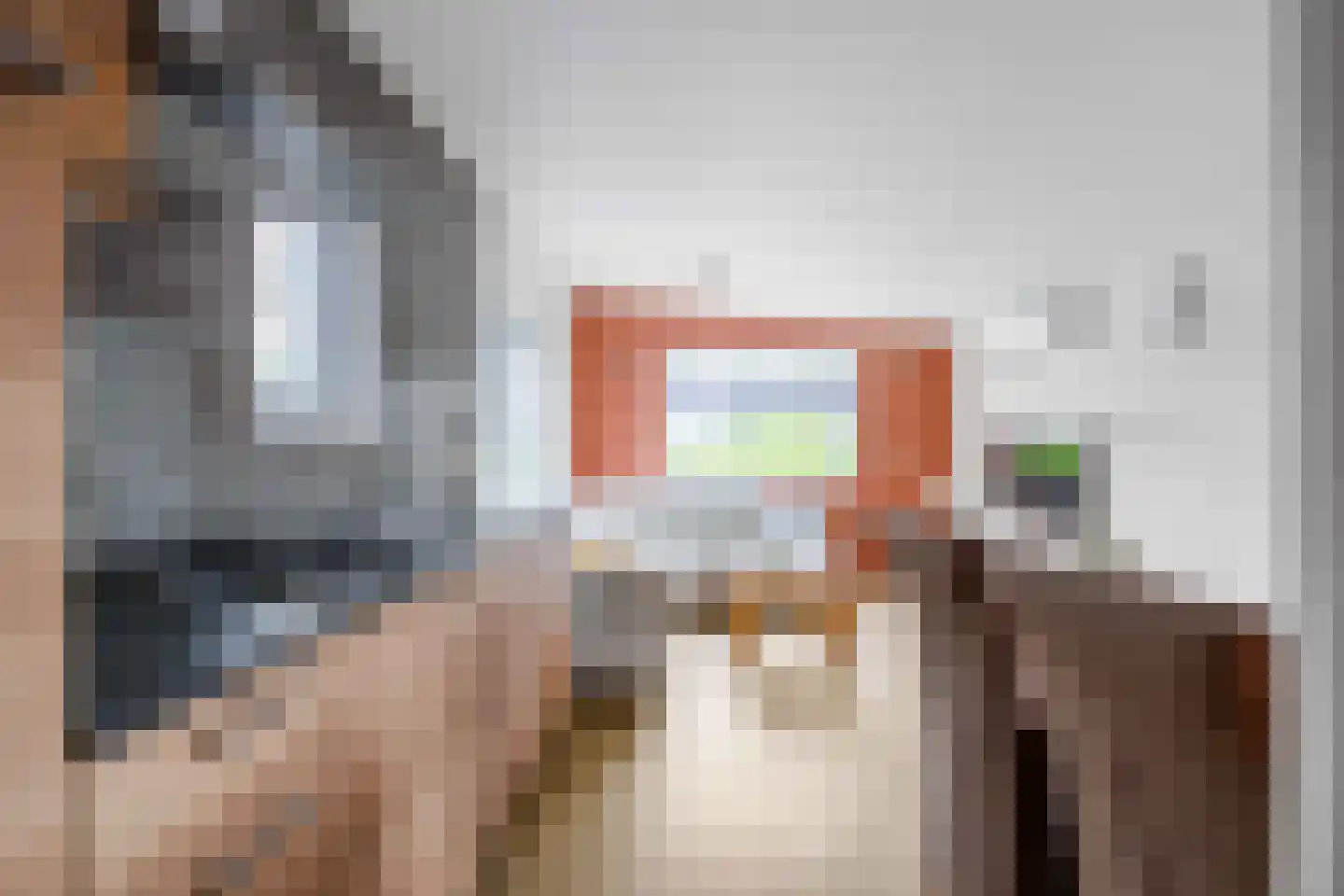 Vogels' tún 72 Tzummarum thumbnail 22