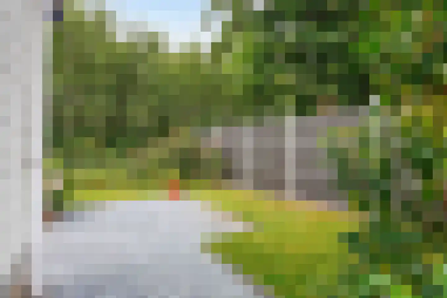 Vogels' tún 72 Tzummarum thumbnail 31