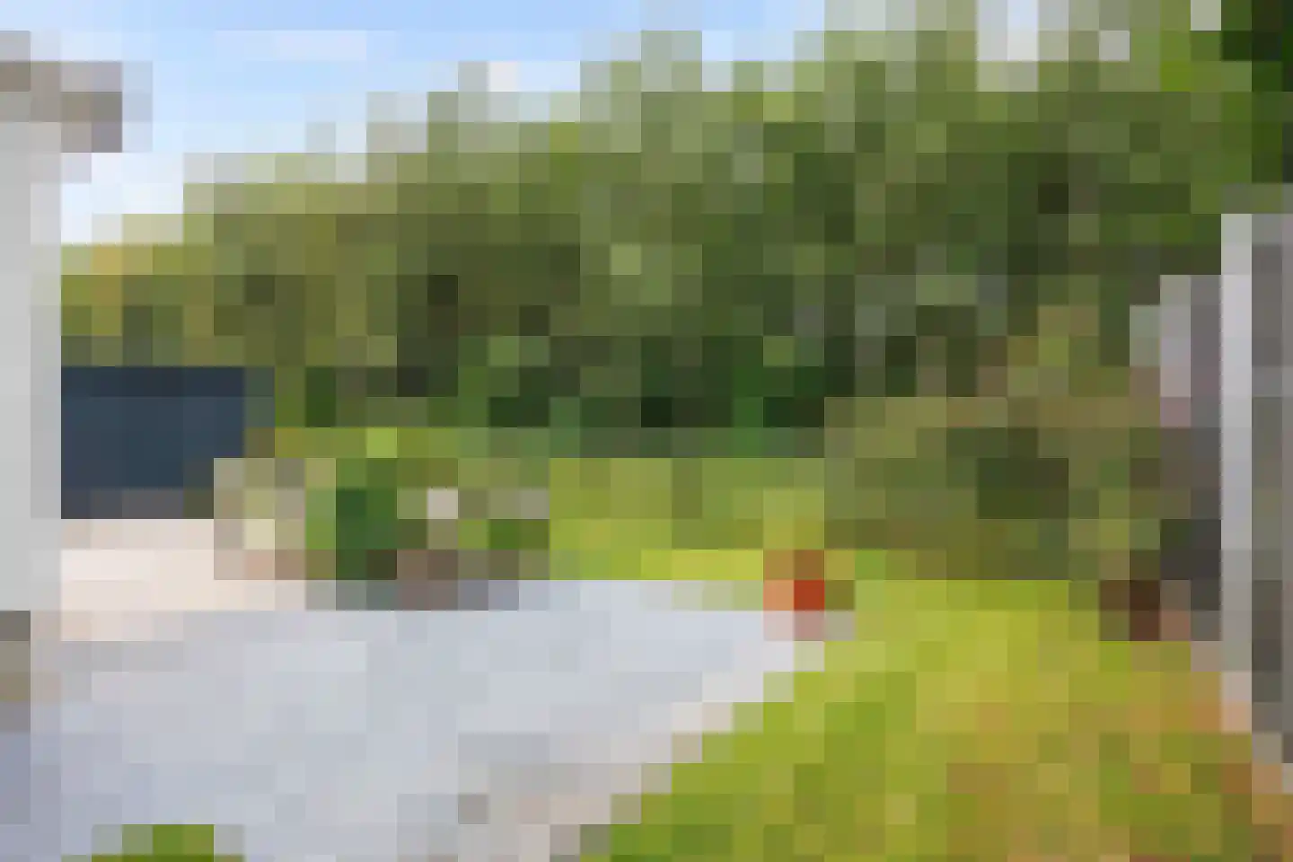 Vogels' tún 72 Tzummarum thumbnail 32