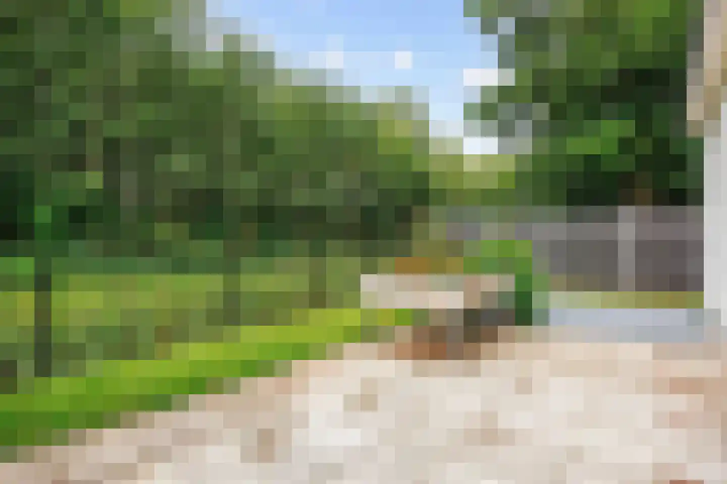 Vogels' tún 72 Tzummarum thumbnail 33