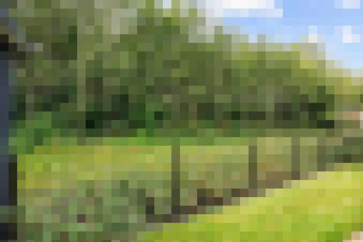 Vogels' tún 72 Tzummarum thumbnail 34