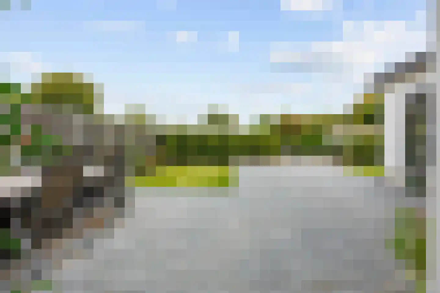 Vogels' tún 72 Tzummarum thumbnail 35