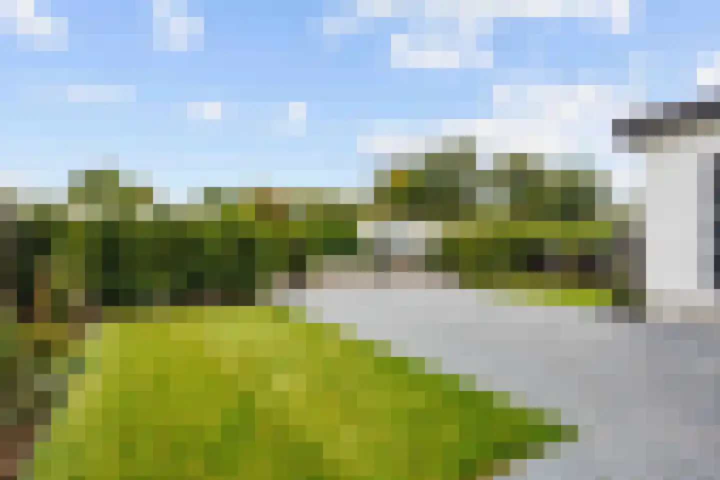 Vogels' tún 72 Tzummarum thumbnail 36