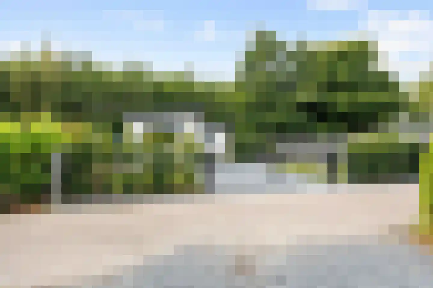 Vogels' tún 72 Tzummarum thumbnail 39