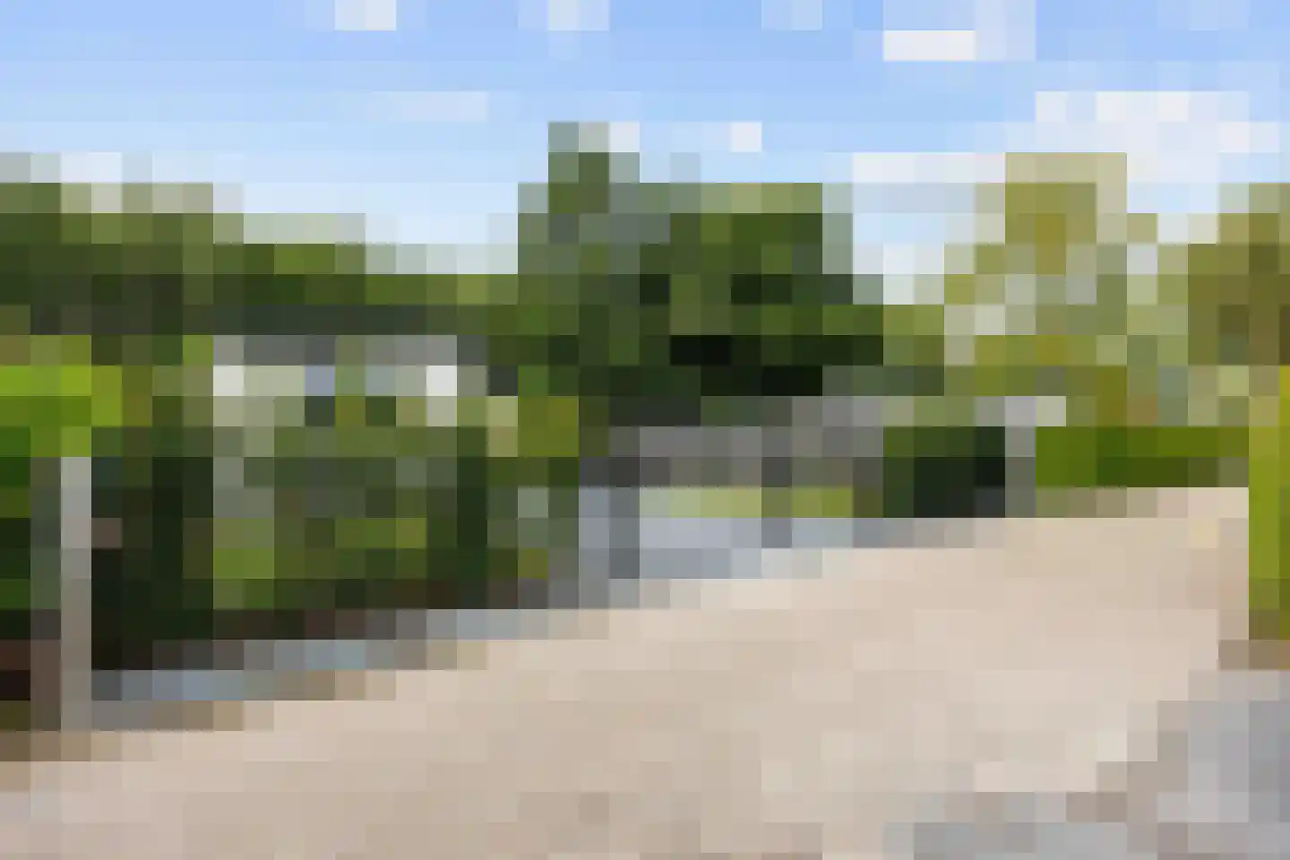 Vogels' tún 72 Tzummarum thumbnail 41
