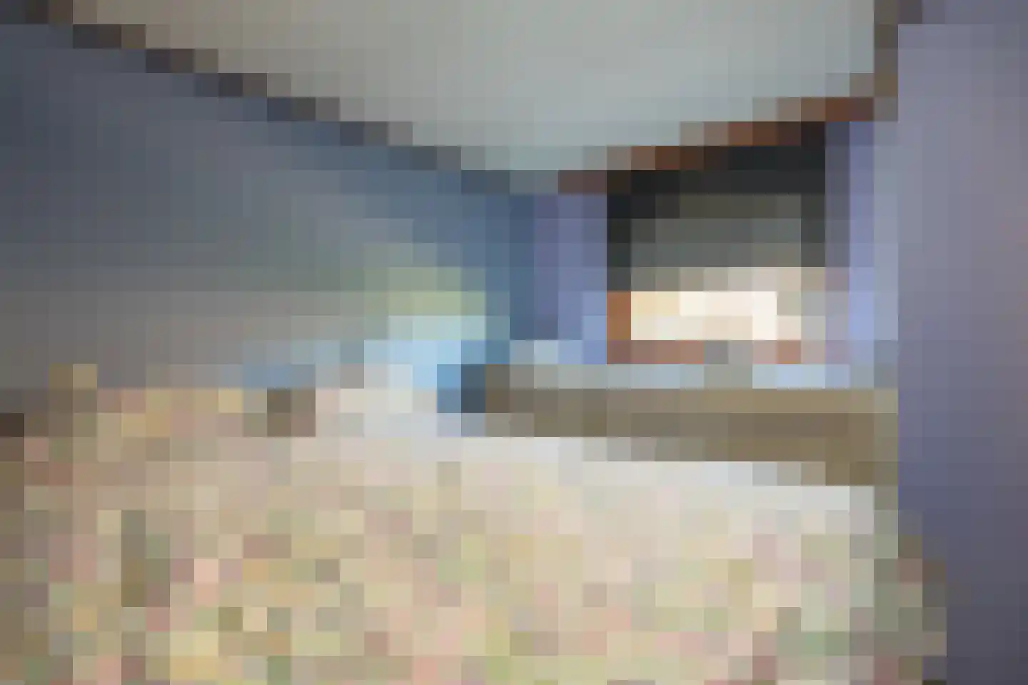 Vogels' tún 82 Tzummarum thumbnail 13