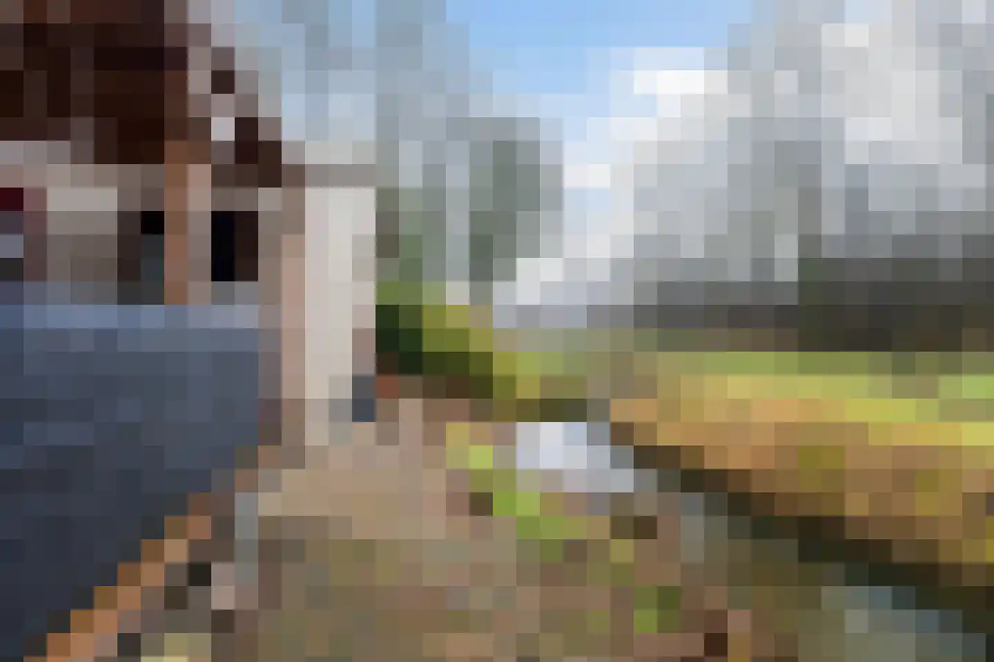 Vogels' tún 82 Tzummarum thumbnail 17
