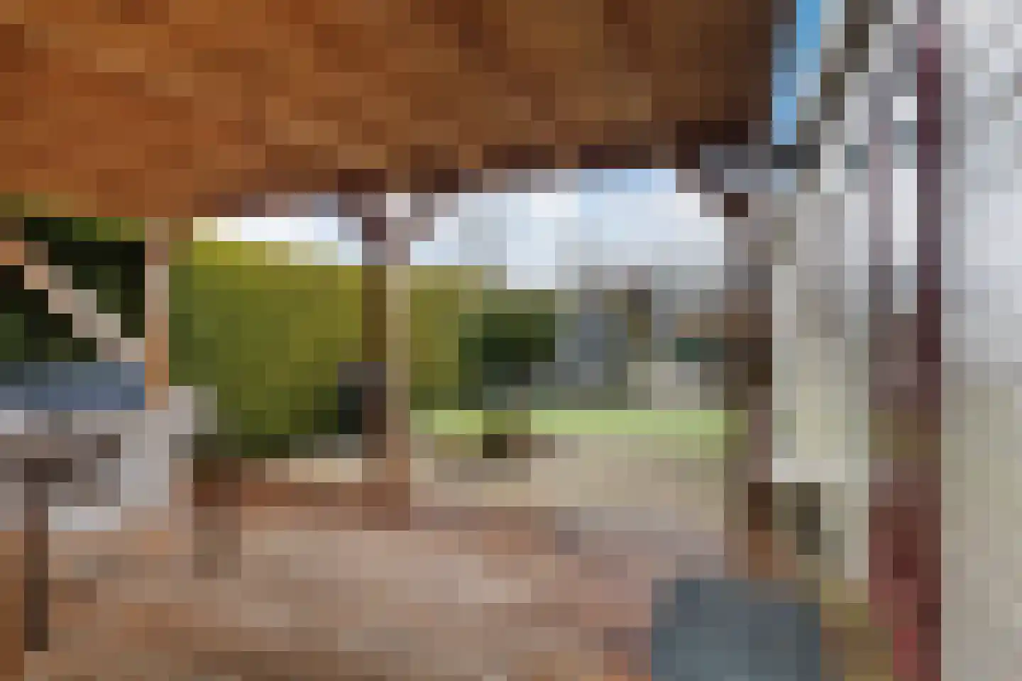 Vogels' tún 82 Tzummarum thumbnail 18