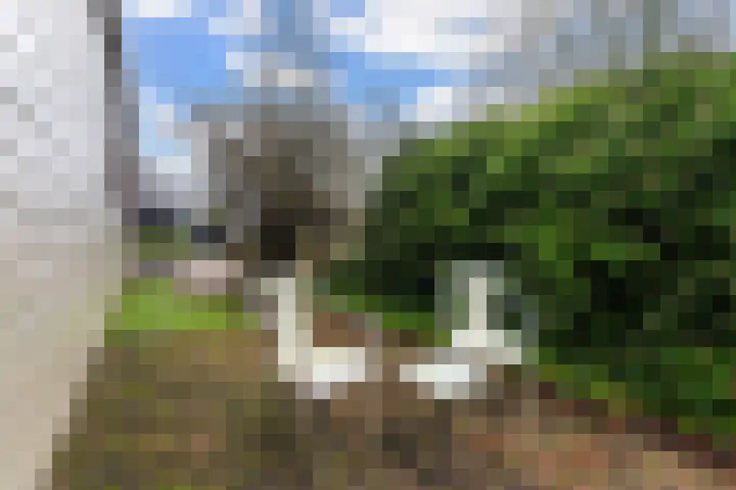 Vogels' tún 82 Tzummarum thumbnail 20
