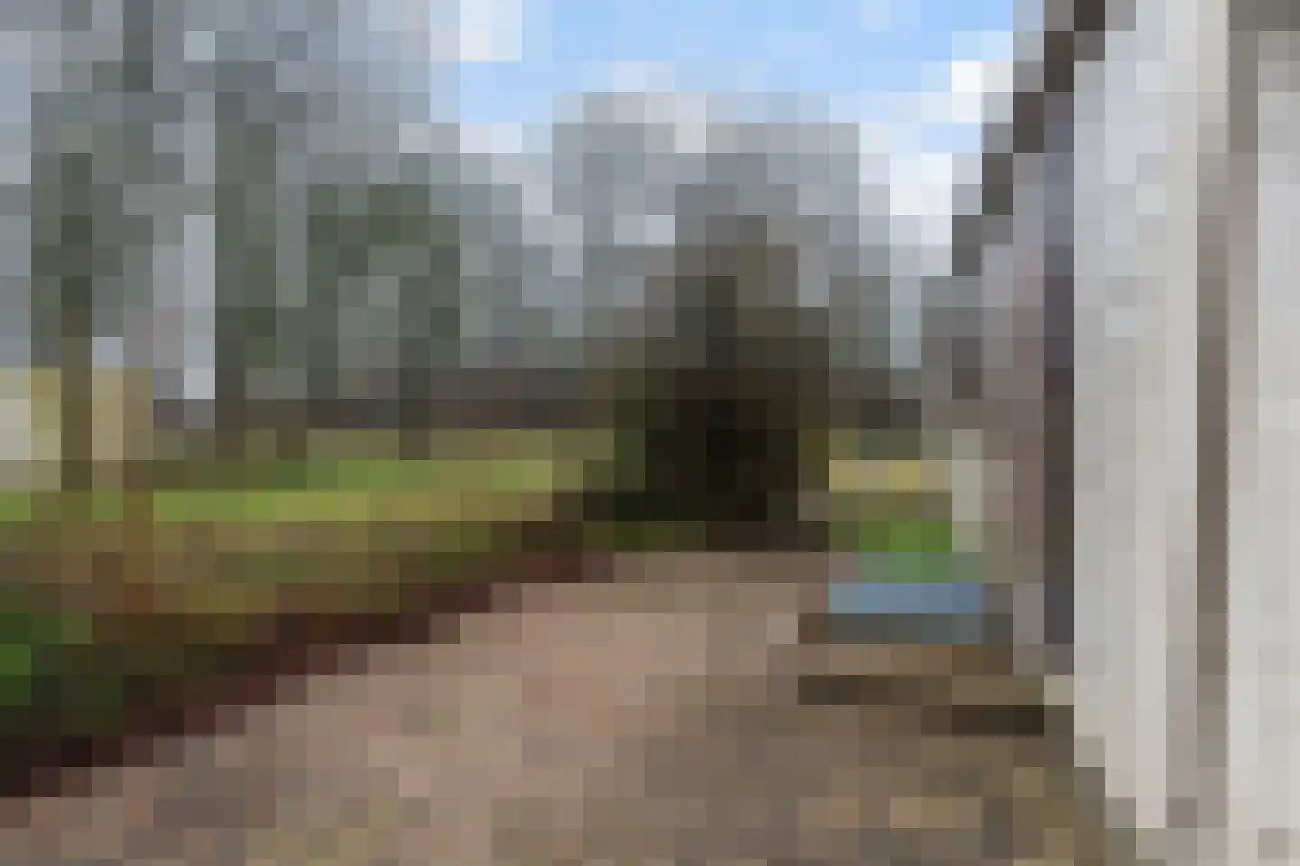 Vogels' tún 82 Tzummarum thumbnail 21