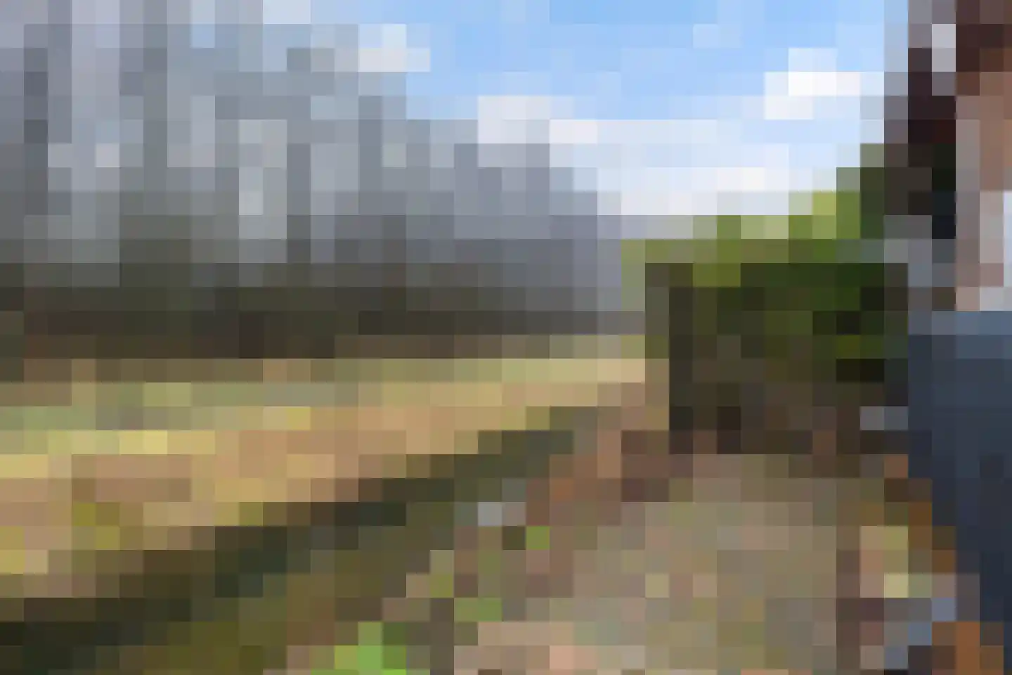Vogels' tún 82 Tzummarum thumbnail 23